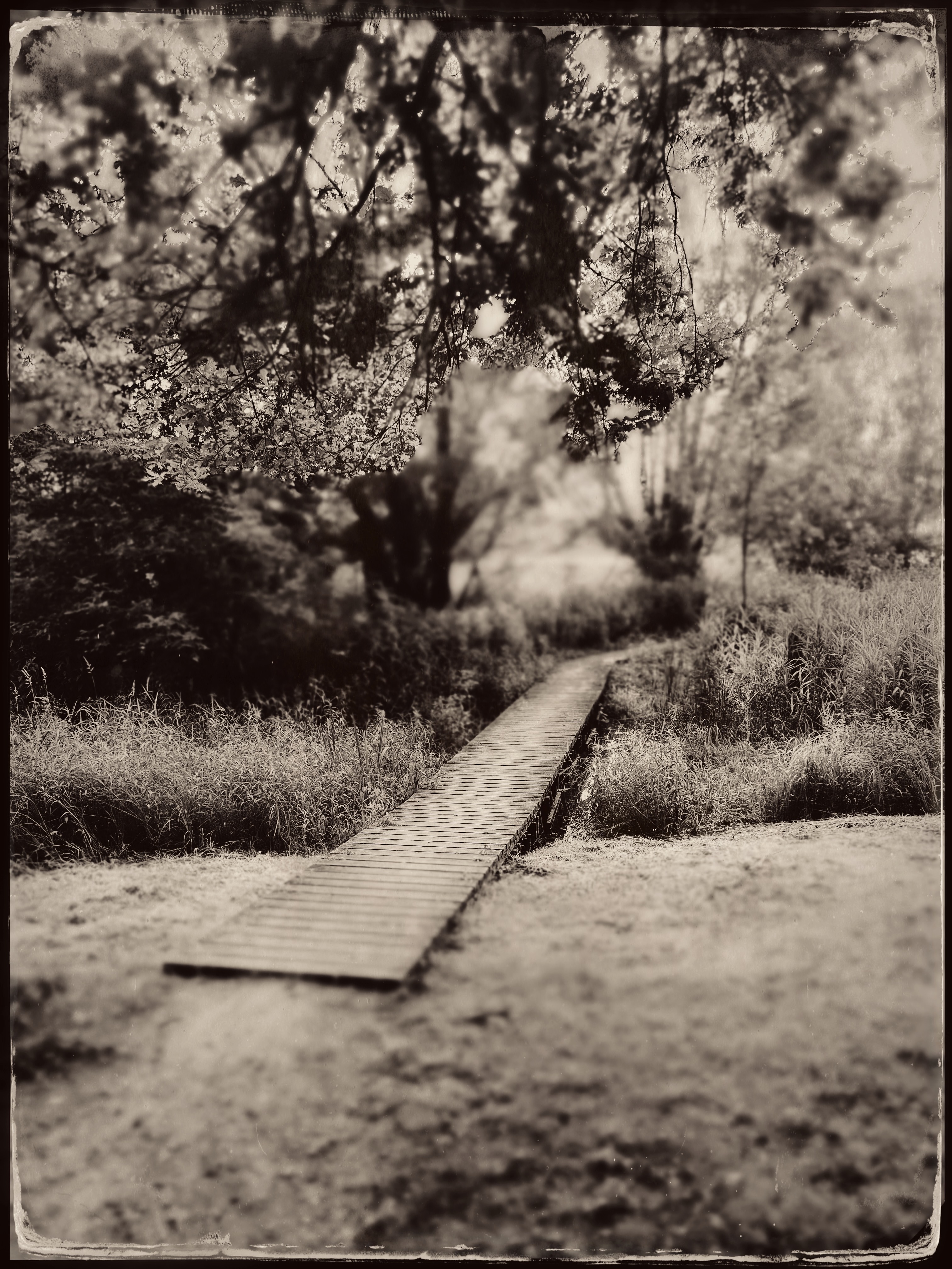 Bord de Saône