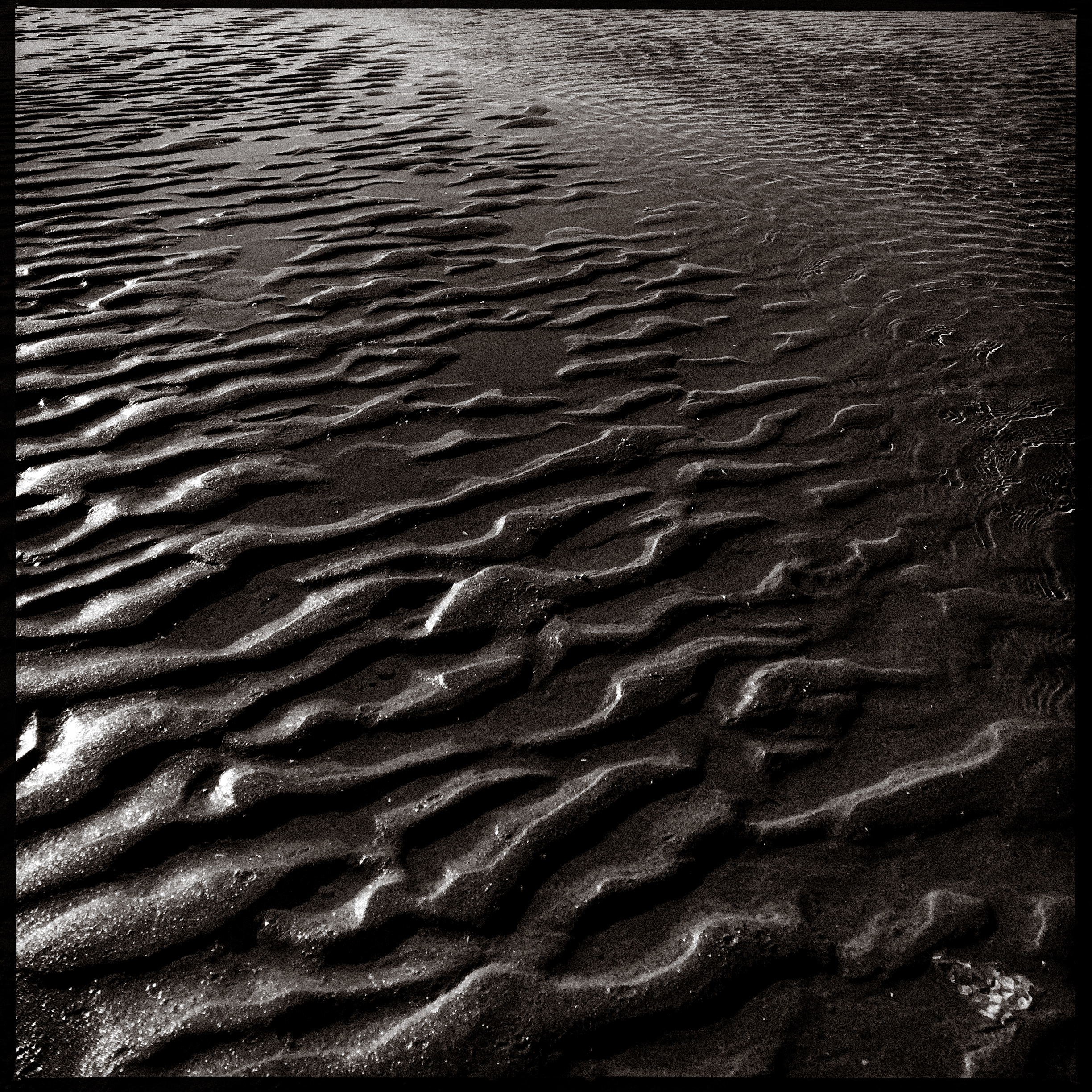 Waves