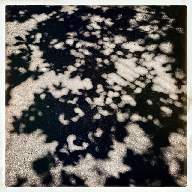 Shadows