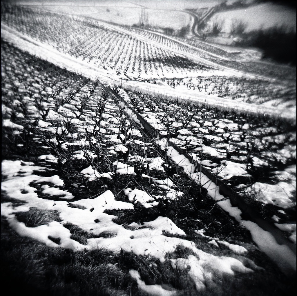 Beaujolais