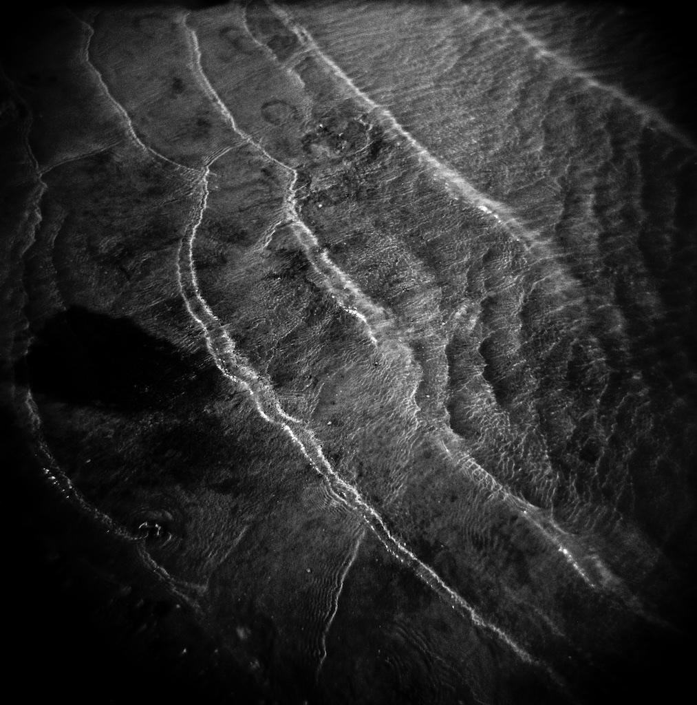 FLYING over the waves