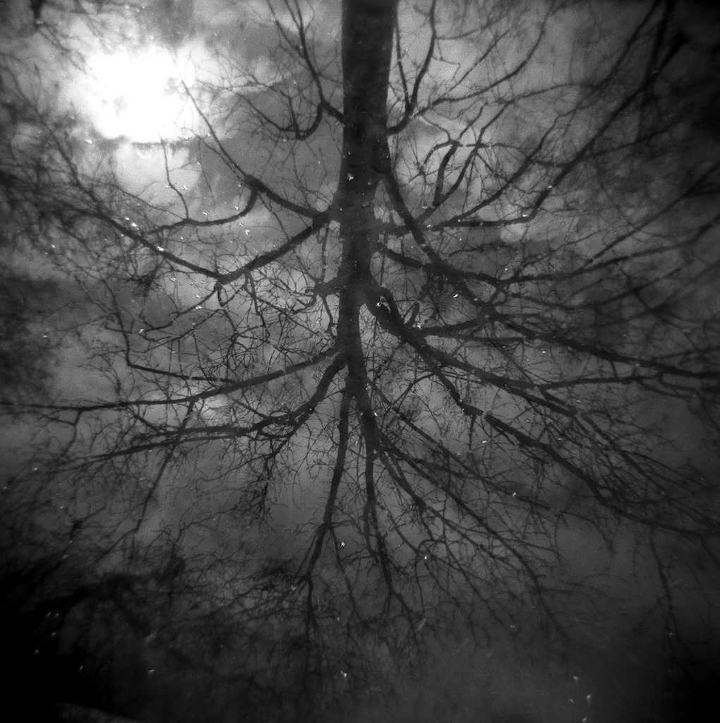 Réflection