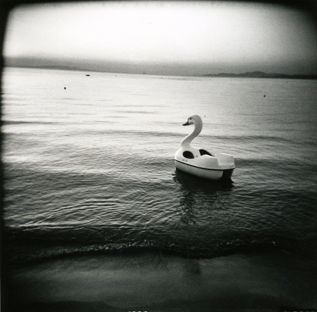 Swan Punta ala