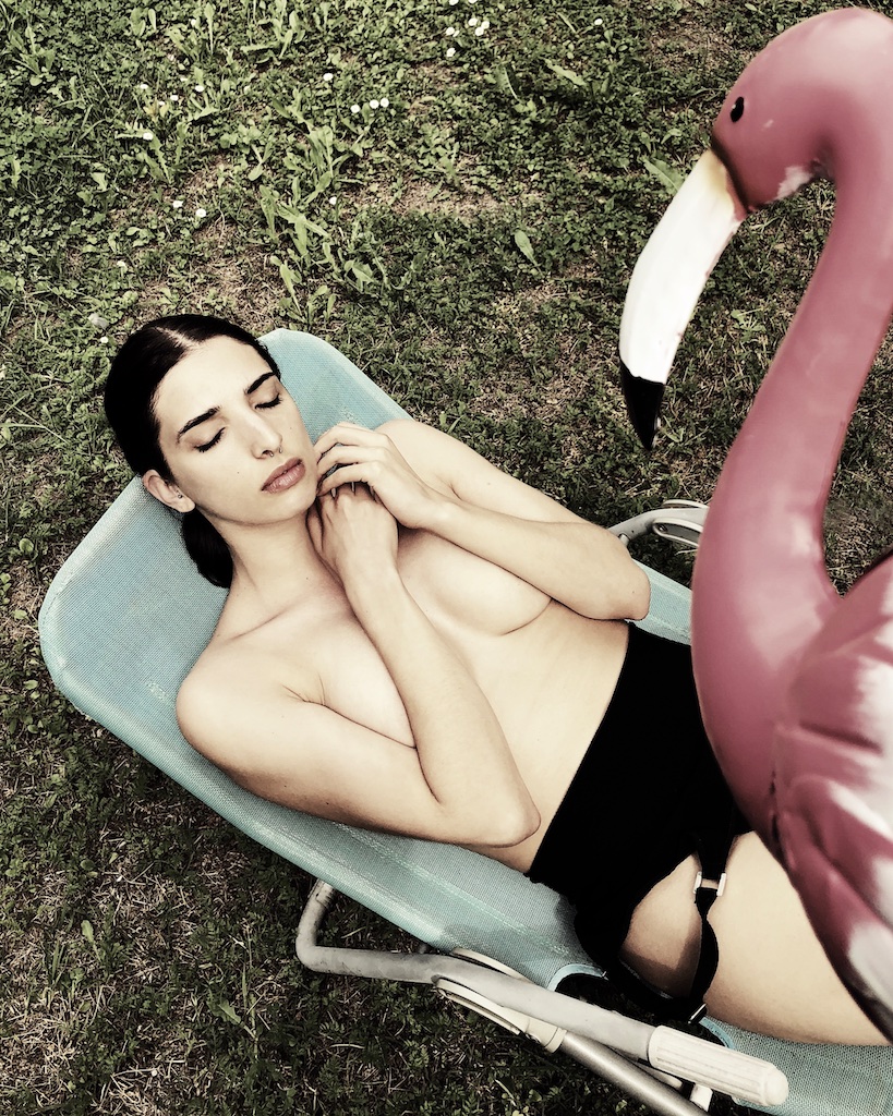 Pink Flamingo
