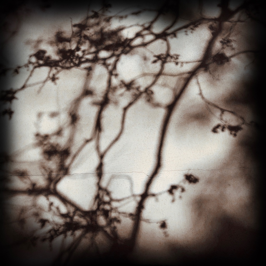 Shadows