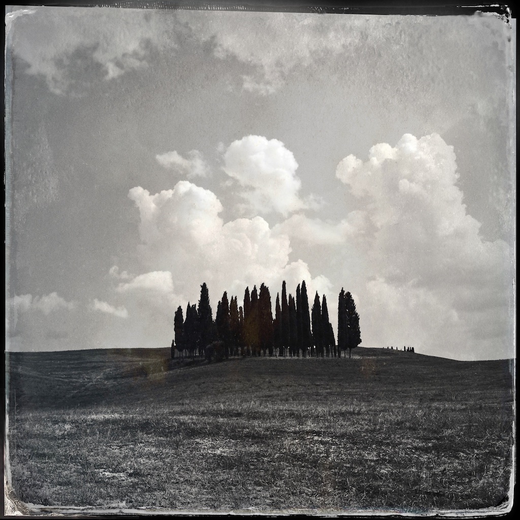 Cyprus Tuscany