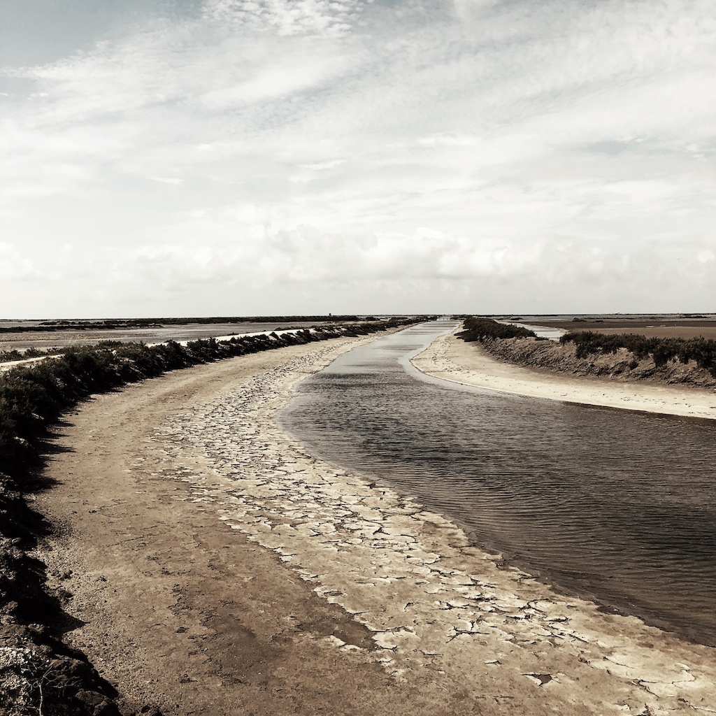 Bauduc Camargue