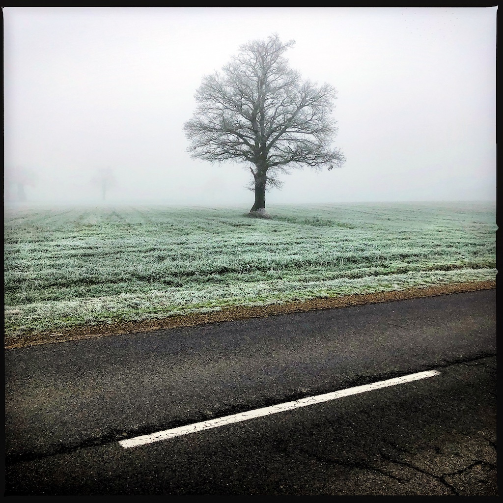 Road to Chalamont 2