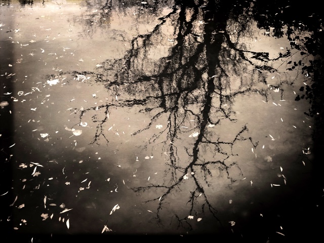 Réflection 2