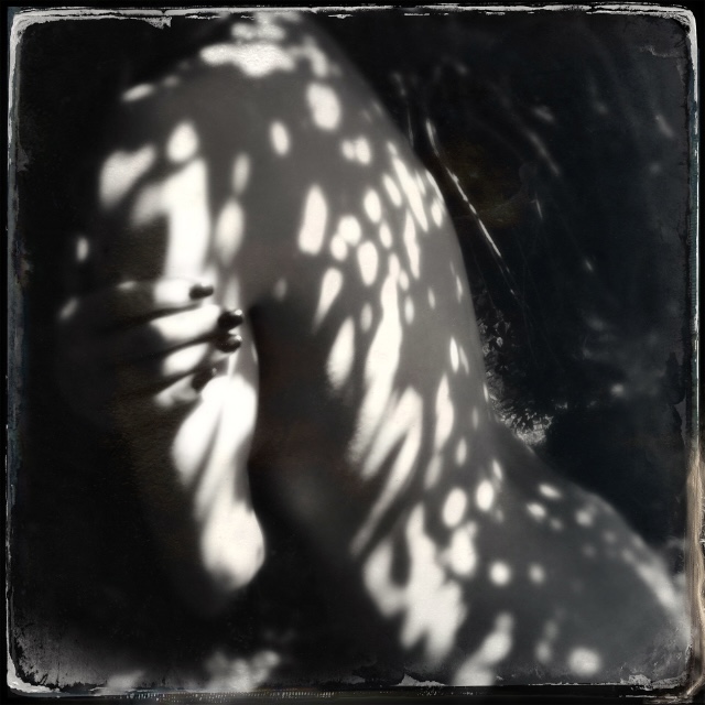 Summer Light