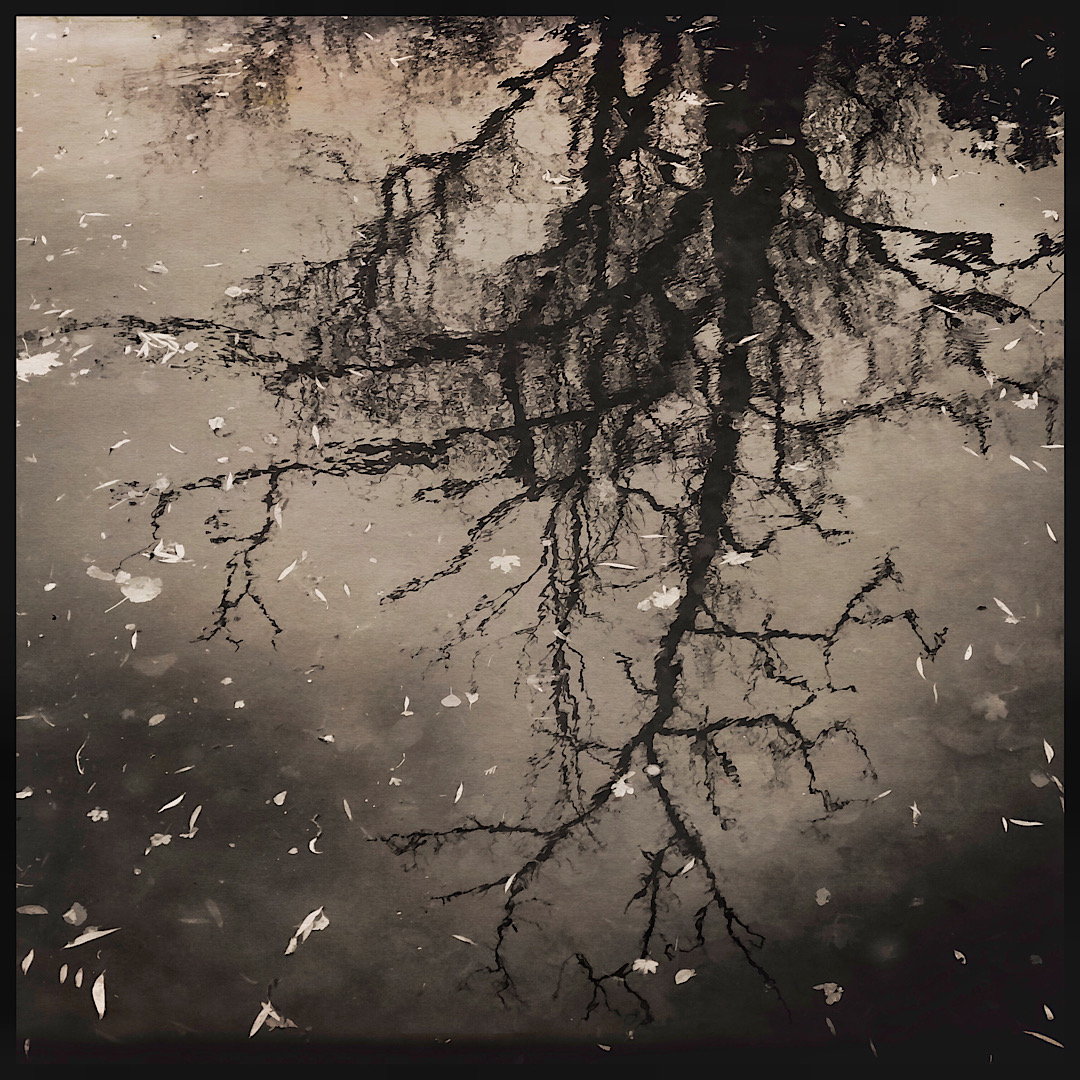 Réflection