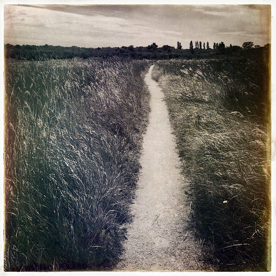 Cheminement