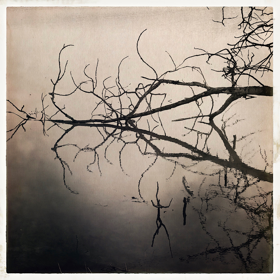 Réflection 2