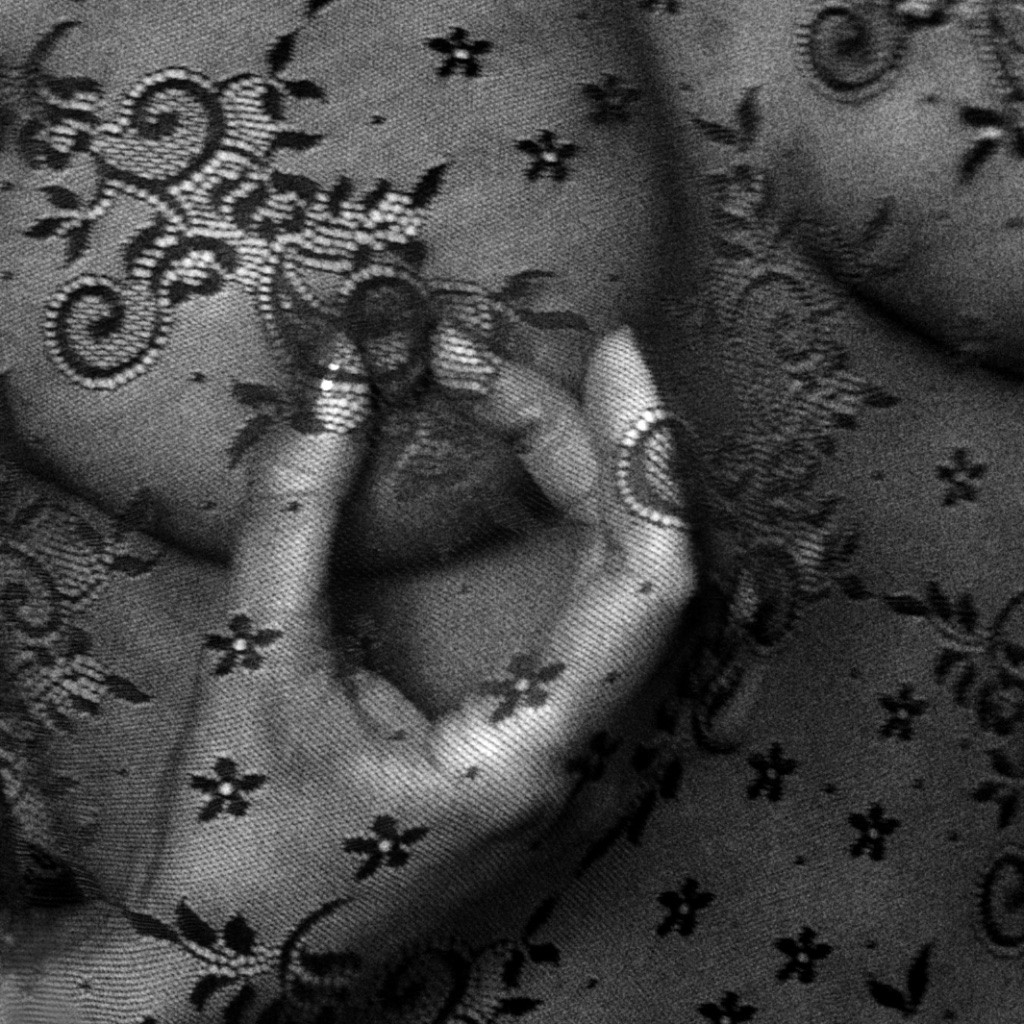 DENTELLE 3